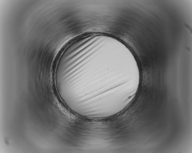 X0000099940976200806131421