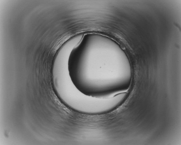 X0000099940977200806131421