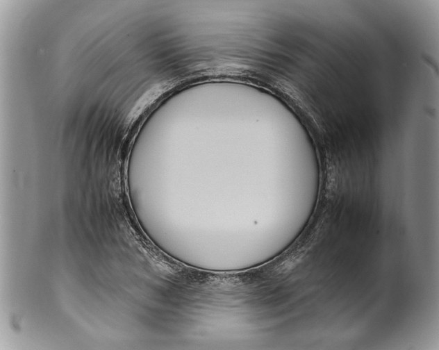 X0000099940978200806131421