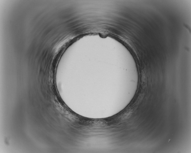 X0000099940979200806131421