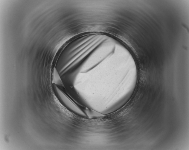 X0000099940980200806131421