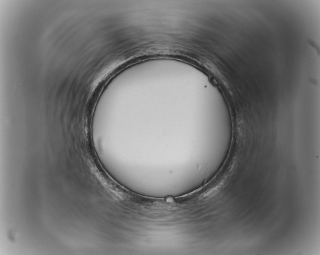 X0000099940981200806131421