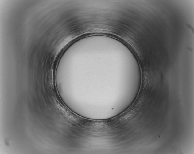 X0000099940982200806131421