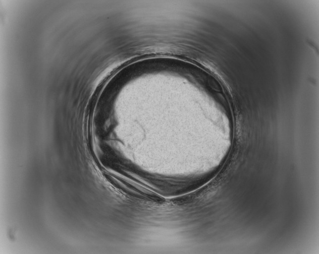 X0000099940983200806131421