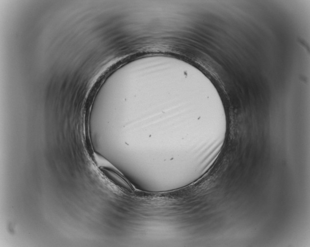 X0000099940984200806131421