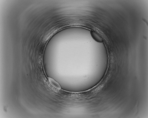 X0000099940985200806131421