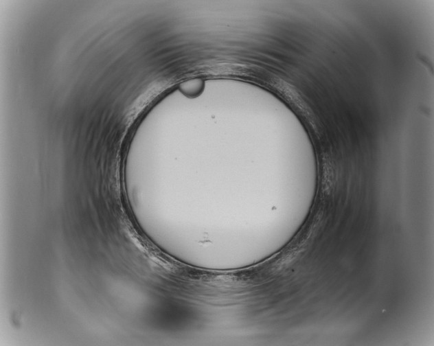 X0000099940986200806131421