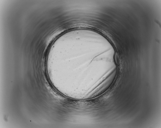 X0000099940987200806131421