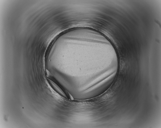 X0000099940988200806131421