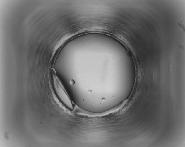 X0000099940989200806131421