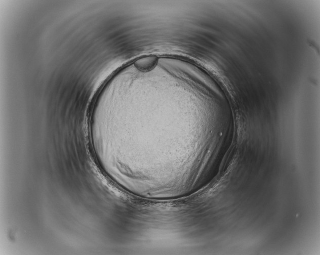 X0000099940990200806131421