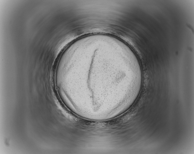 X0000099940991200806131421