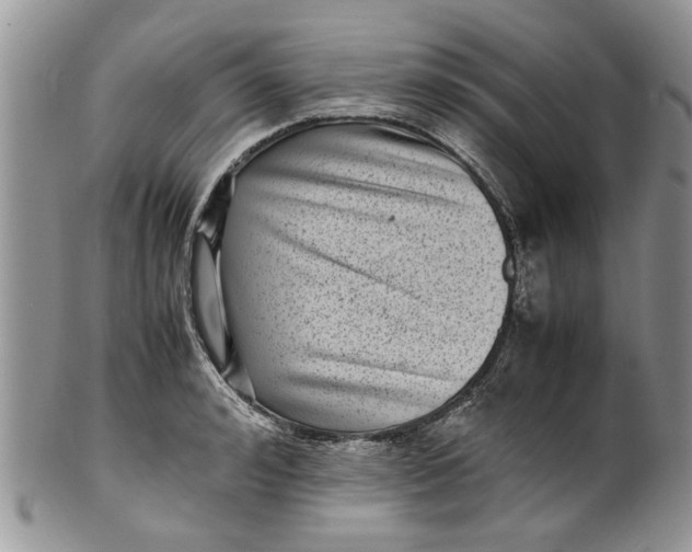 X0000099940992200806131421