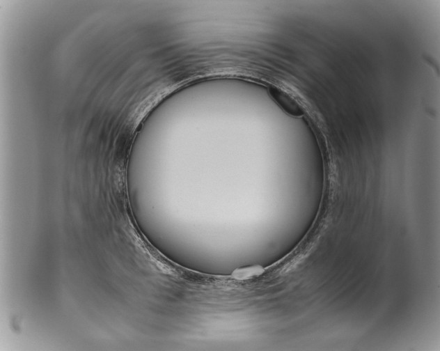 X0000099940993200806131421