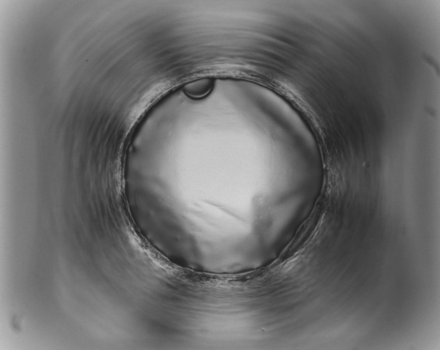 X0000099940994200806131421