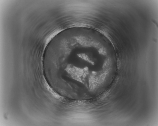 X0000099940995200806131421