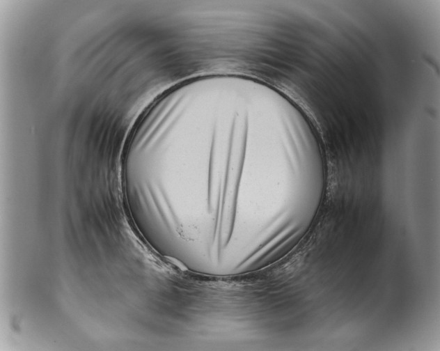 X0000099940996200806131421