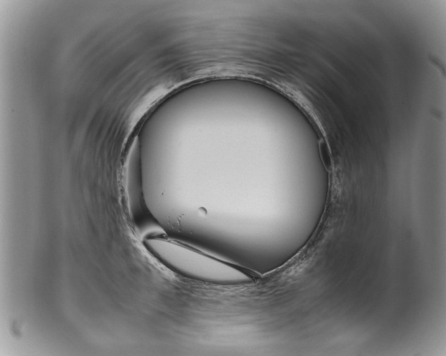 X0000099940997200806131421