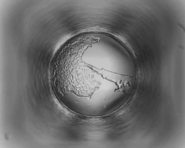 X0000099940998200806131421