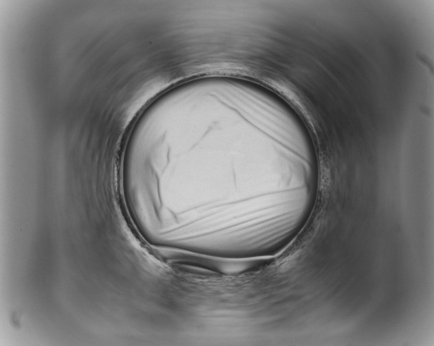 X0000099940999200806131421