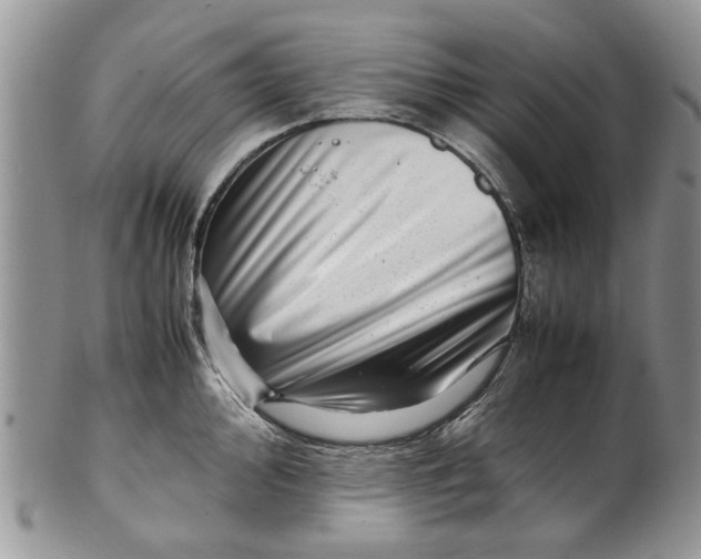 X0000099941000200806131421