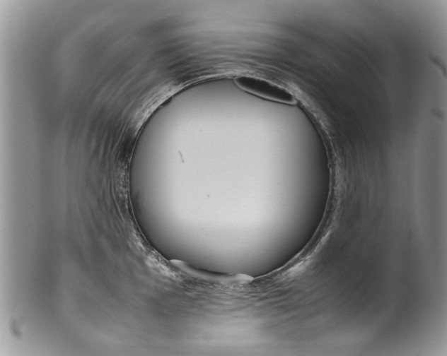 X0000099941001200806131421