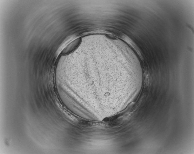 X0000099941002200806131421