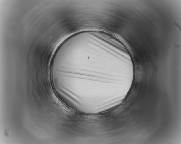 X0000099941004200806131421