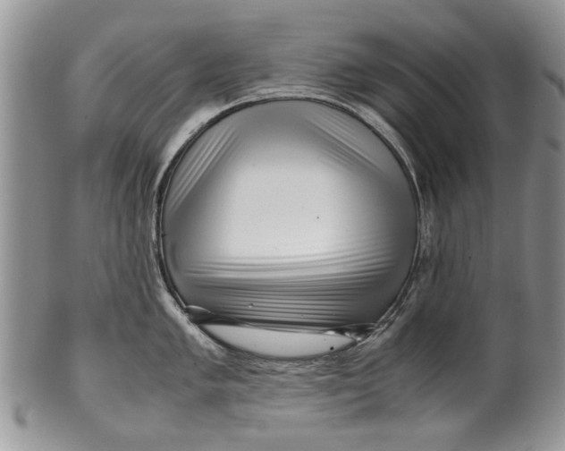 X0000099941005200806131421