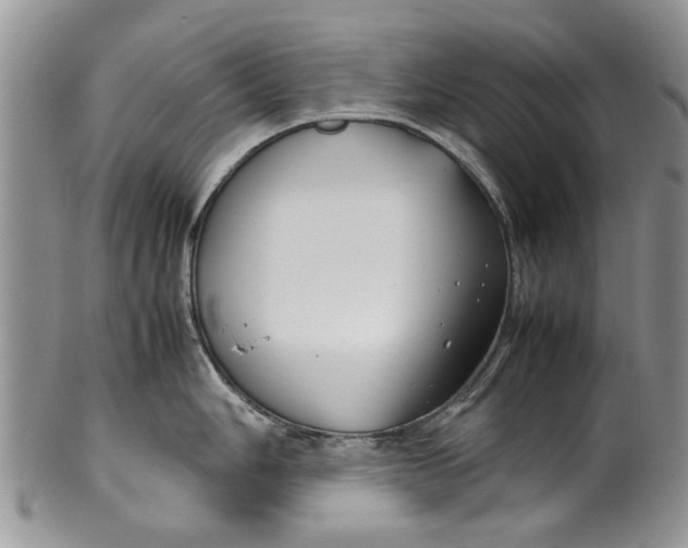 X0000099941006200806131421