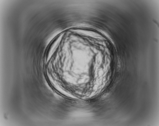 X0000099941007200806131421