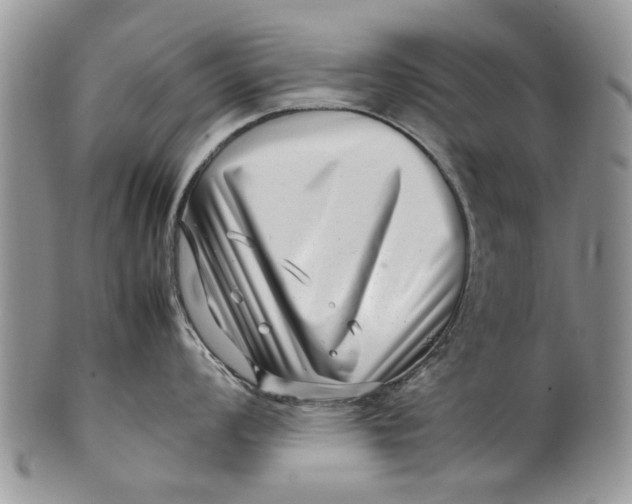 X0000099941008200806131421