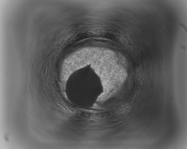 X0000099941009200806131420