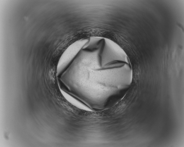 X0000099941010200806131420