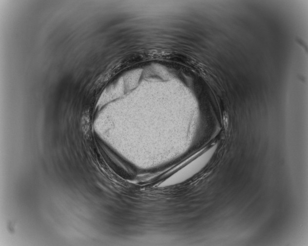 X0000099941011200806131420