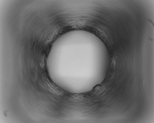 X0000099941012200806131420