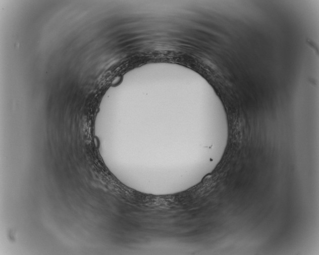 X0000099941013200806131420