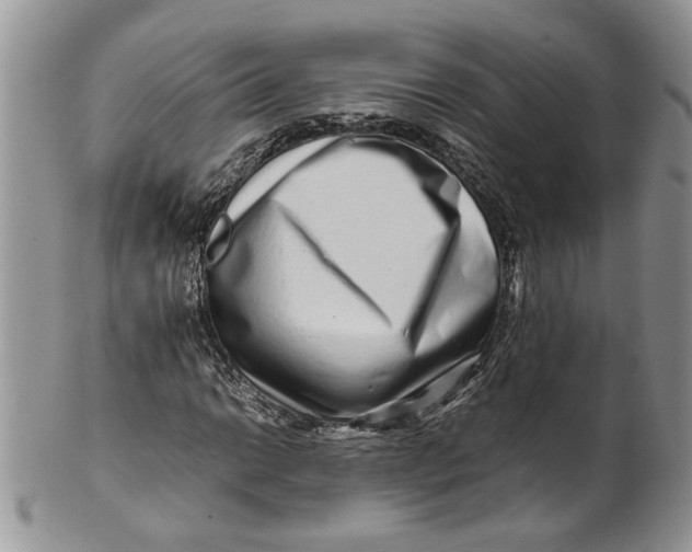 X0000099941014200806131420