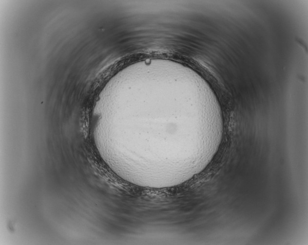 X0000099941015200806131420