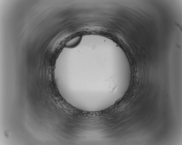 X0000099941016200806131420