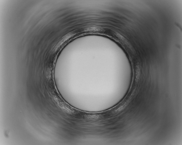 X0000099941017200806131420