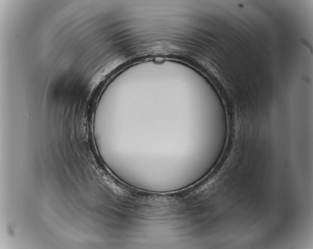 X0000099941018200806131420