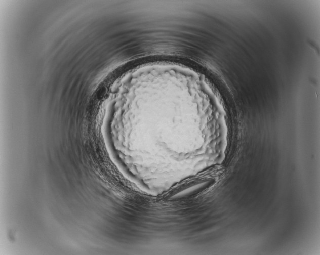 X0000099941019200806131420