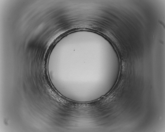 X0000099941020200806131420