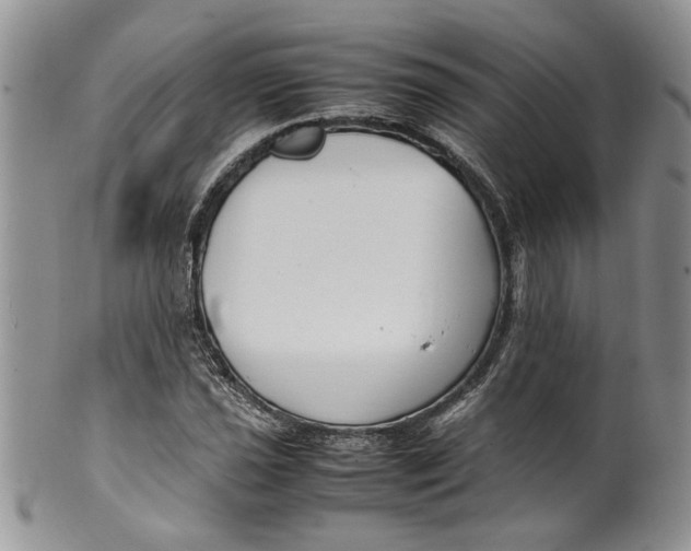 X0000099941021200806131420