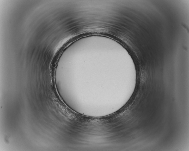 X0000099941022200806131420