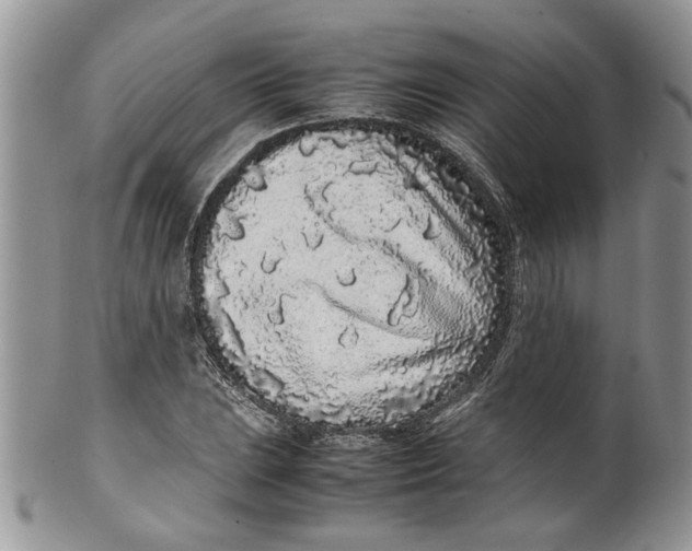 X0000099941023200806131420