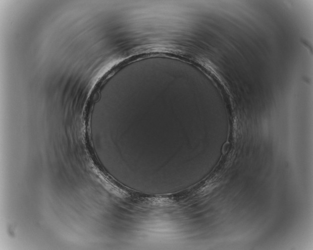 X0000099941024200806131420