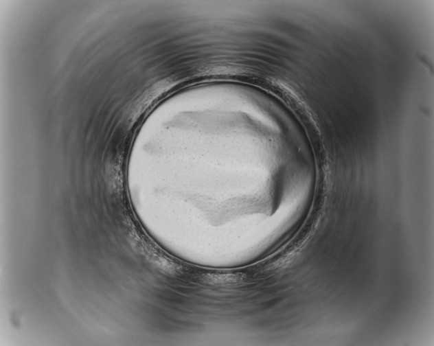 X0000099941025200806131420