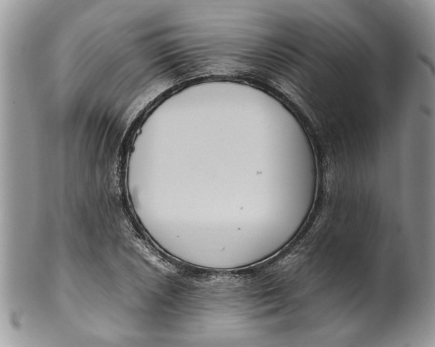 X0000099941026200806131420